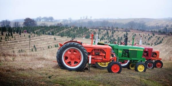 Antique tractors