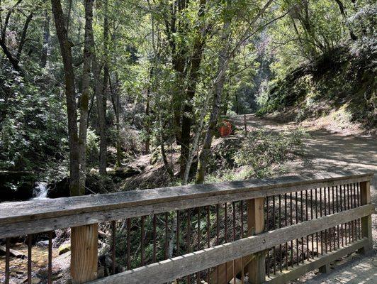 Waterfall Loop Trail