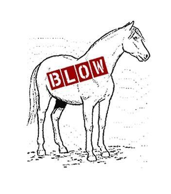 Blow Pony