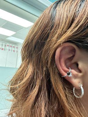 Conch piercing for 110 including jewelry !!!