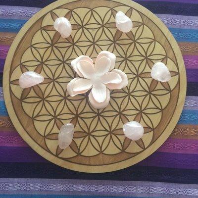 Flower of Life Mediation