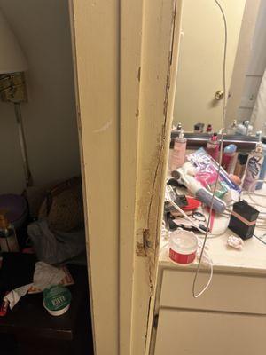 Bathroom door busted