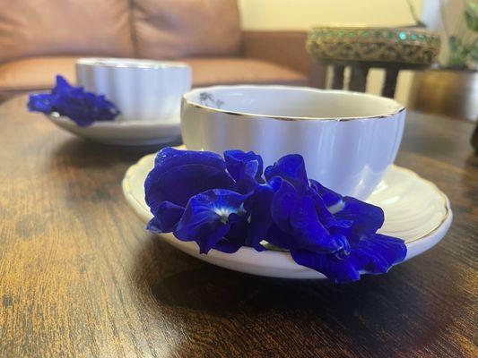 butterfly pea flowers