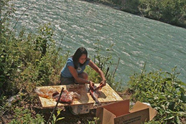 Cleaning salmon on the Klutina River side