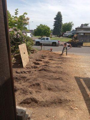 Woody's Stump Grinding and Removal