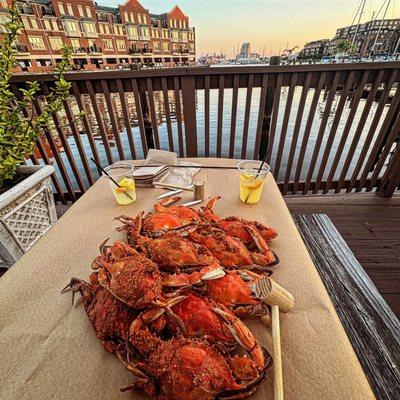 Dozen extra large steamed crabs