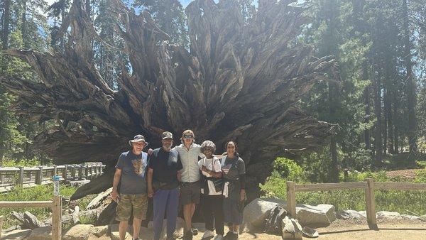 Yosemite national Park with family and tour guide