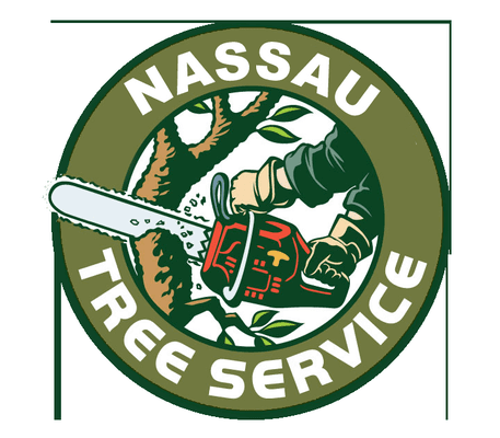 Tree Service Nassau NY