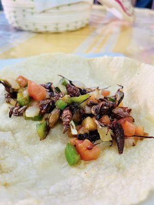 Omg!  Chapulines a la Mexicana with hand made tortillas ! Delicious