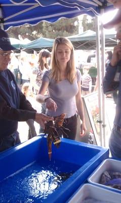 Live lobster