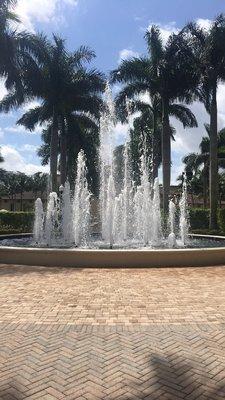 Our beautiful water fountain by the pool.