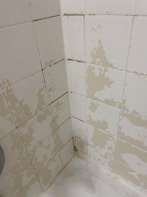 Same bathroom with mold