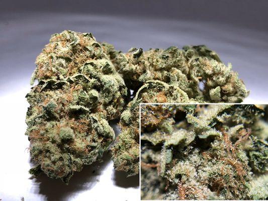 SNOW LOTUS Indica Strain