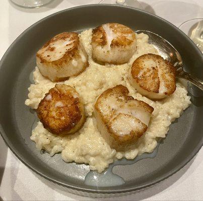 Scallops with Parmesan risotto