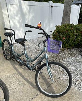 Beach bums tandem bicycle.