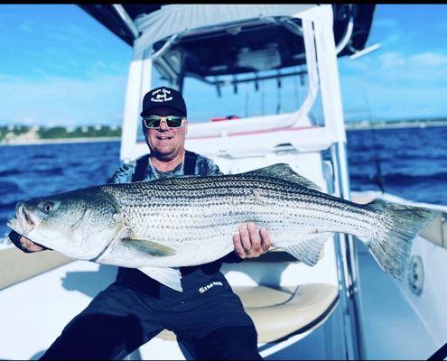 Cape Cod Striper