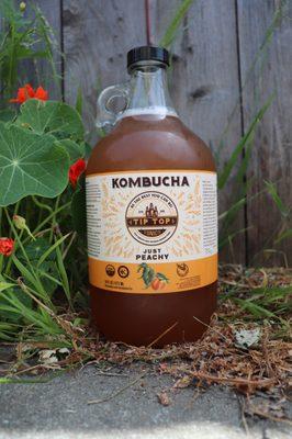 Kombucha half gallons! $15 ($3) bottle deposit