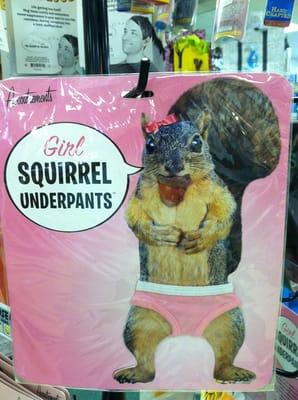 Got Squirrels?