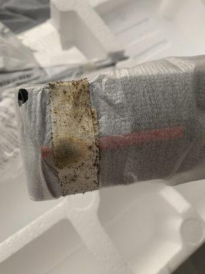 Mold on a brand new AOC $300 monitor