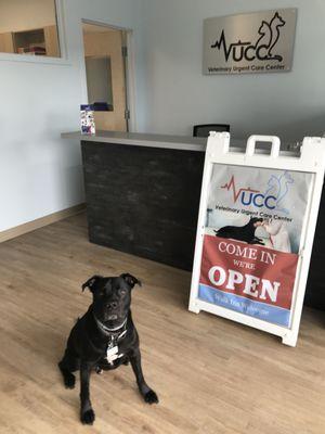 Leo says come visit us in our new Plymouth location!