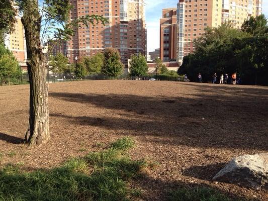 Great park on about 1/3 acre. Mulch & grass with plenty of shade.