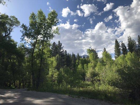 View from the campground road