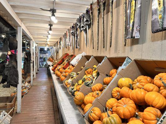 Also have Halloween costumes and accessories. There was a whole line of swords hung up along the wall.