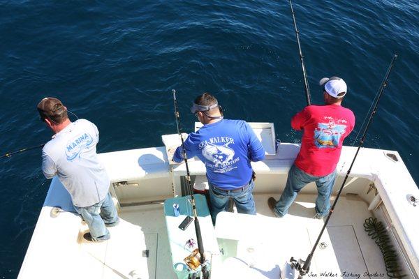 Bottom Fishing on the Sea Walker