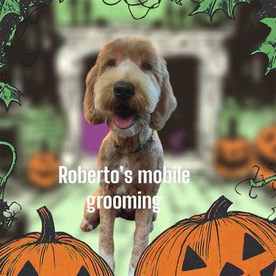 Robertos Dog Grooming Mobile