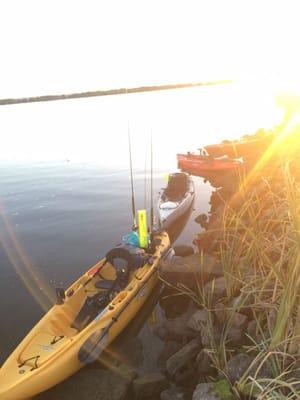 The Hobie family lined up ready for action Hobie Outback Hobie Revolution Hobie Sport