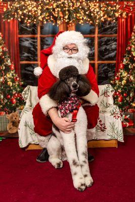 2024 Santa Pictures at Whole Pet Essentials & Greener Grooming