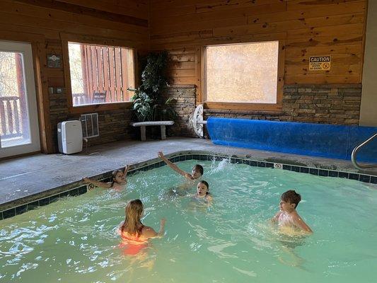 Swimming in paradise cabin basement level private pool