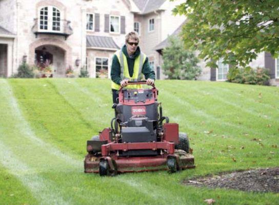 Cutting your grass