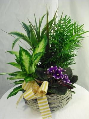 Custom Basket Gardens