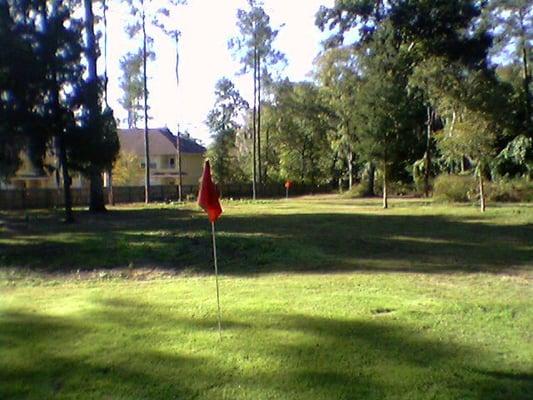 Chipping green