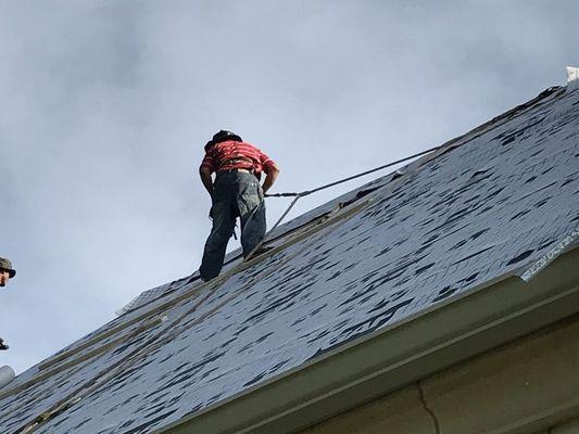 Fall protection via harness and lanyard