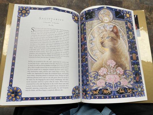 Zodiac Cat Book  , our Sagittarius  Cat looks just like the one in the book.