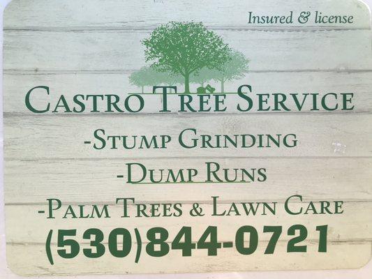 Castro Tree Service