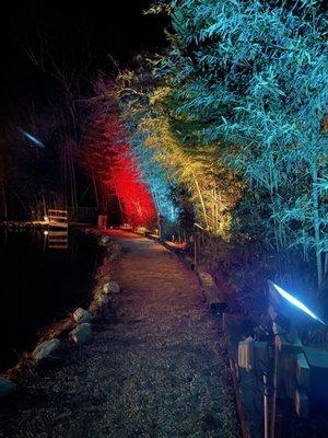 Park path along the pond