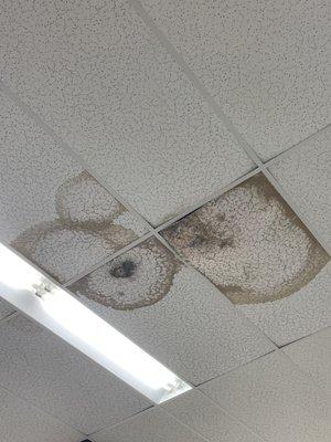 Damaged ceiling. They usually have buckets all over the store to catch the water