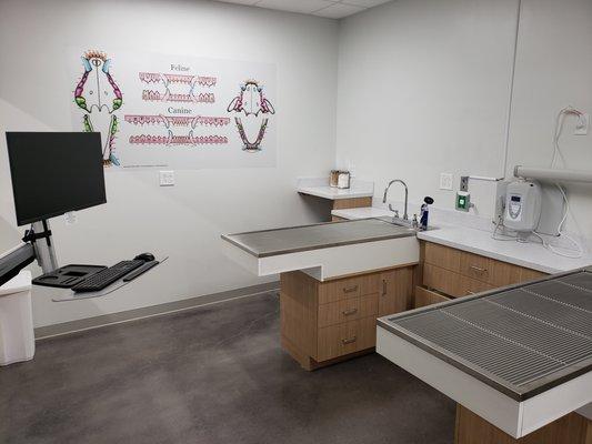 Separate Dental Surgery Suite