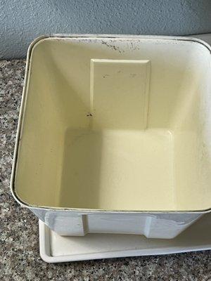 Dirt and mold on ice container