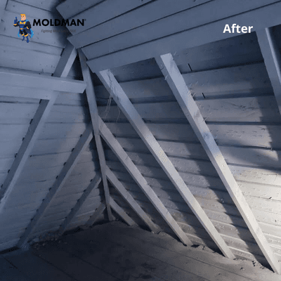 Before and after attic job.