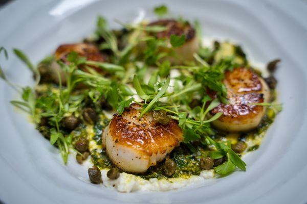 Scallops|Sautéed scallops, fried capers, ricotta, garlic butter.