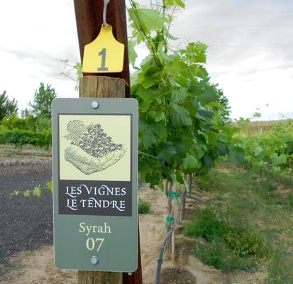 Here is a pic of the mounted signs in the vineyard.  I think they look great!  Thanks.