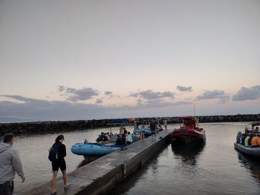 7am trips out of kihei boat ramp