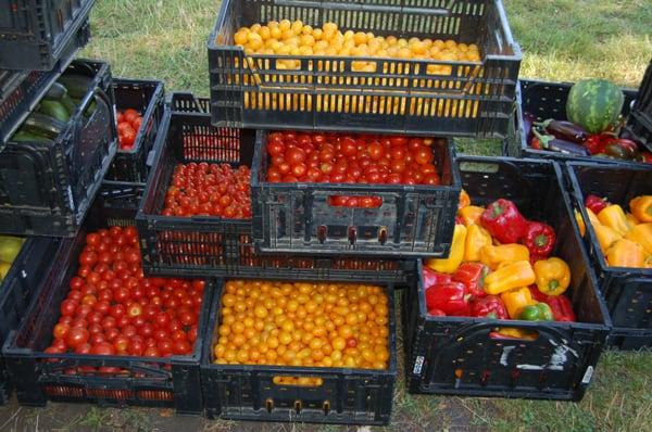 Walker Square Farmers Market