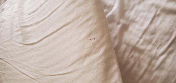 3 black stains on the bedding that matched that matched the 3 black stains on the pillowcase it looks like the bedding was never changed the