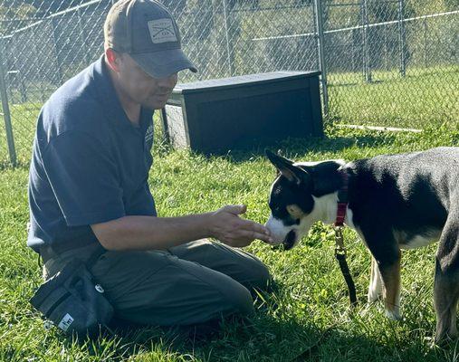 Teaching "touch" (where the dog comes and touches your fingers), which can then be used to teach the dog sit, down, come, in, out, and off.