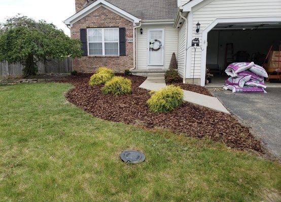 The house after we replaced everything. That tree has since been removed as well as it was dead and the bark fell off.